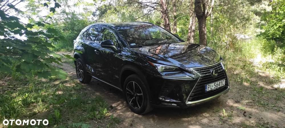 Lexus NX 300 Prestige AWD - 4