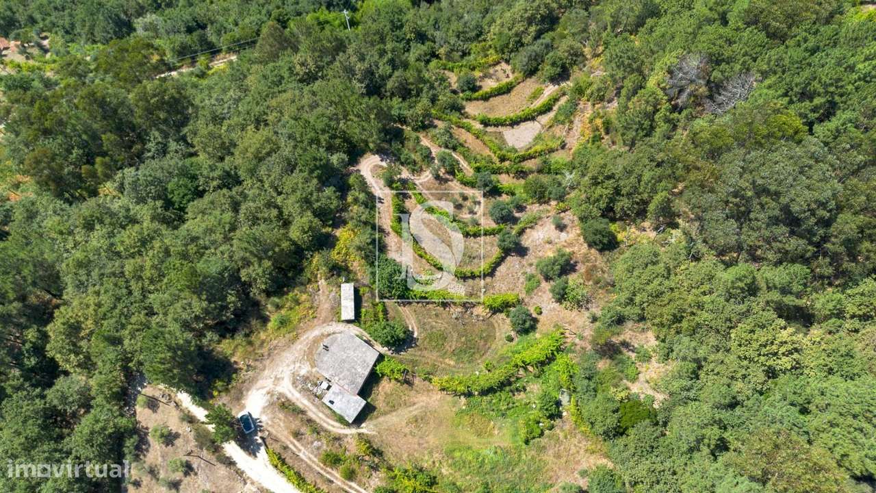 Quinta em UDF de Bustelo, Carneiro e Carvalho de Rei - Grande imagem: 3/55