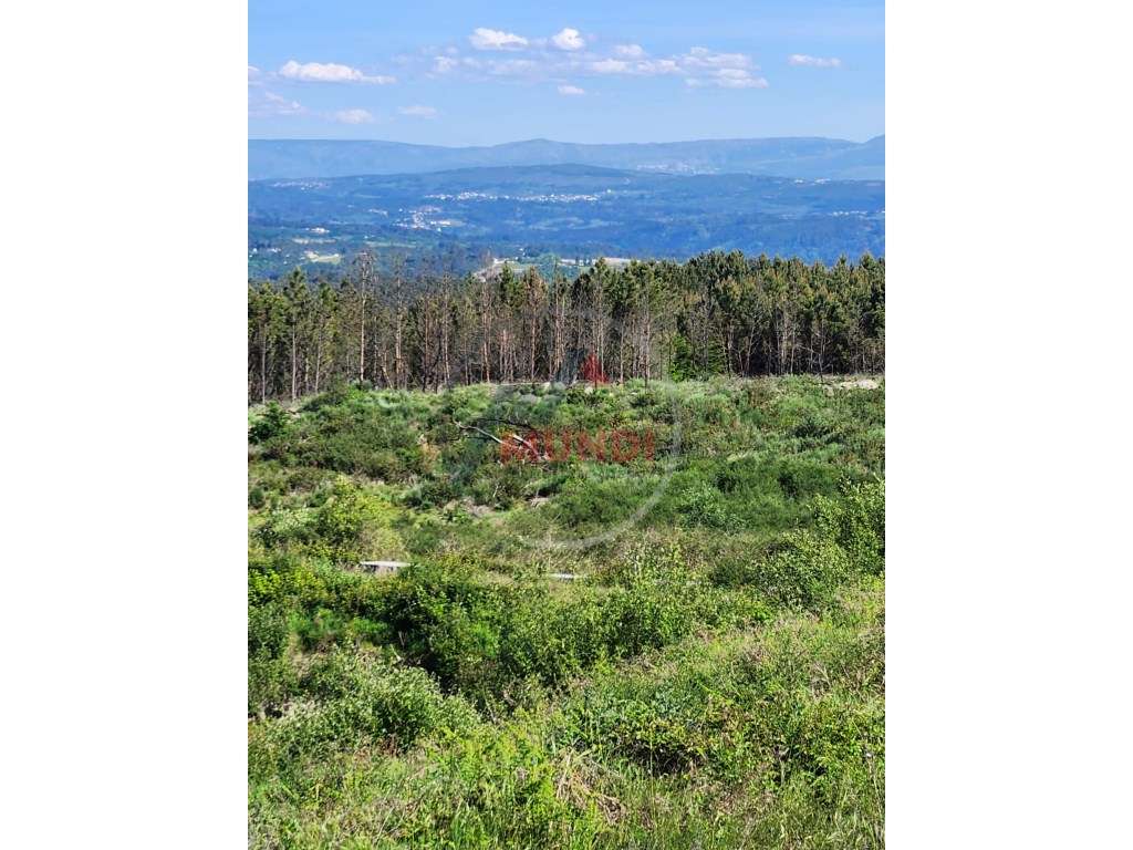 Terreno Misto com com uma charca natural e uma ruina, tem viabilida... - Grande imagem: 4/11
