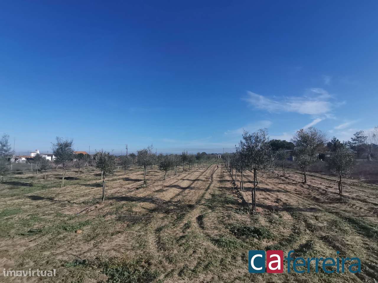 Terreno com duas propriedades em Foros de Benfica - Grande imagem: 4/16