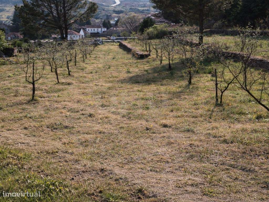 ATIVO TURÍSTICO + QUINTA DE EXCEÇÃO NA BEIRA ALTA-31