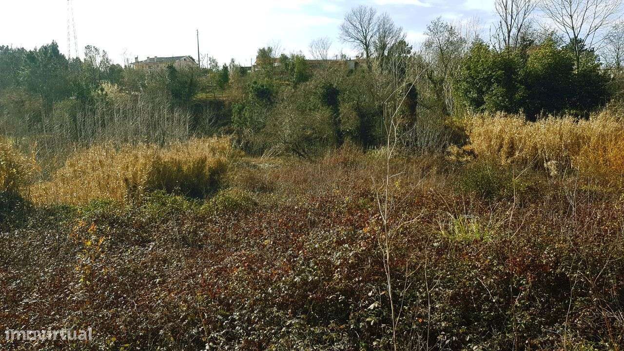 Quinta na Bairrada-13