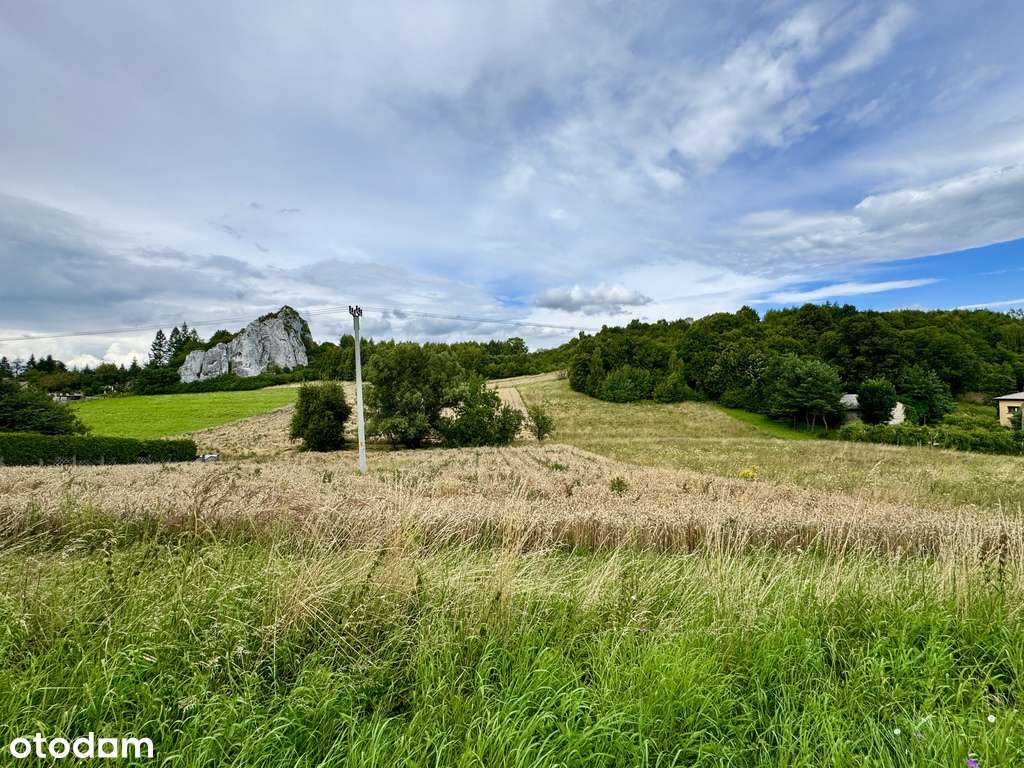Działka tuż pod Grodziskiem (Skała 502) - Pełny obrazek: 4/6