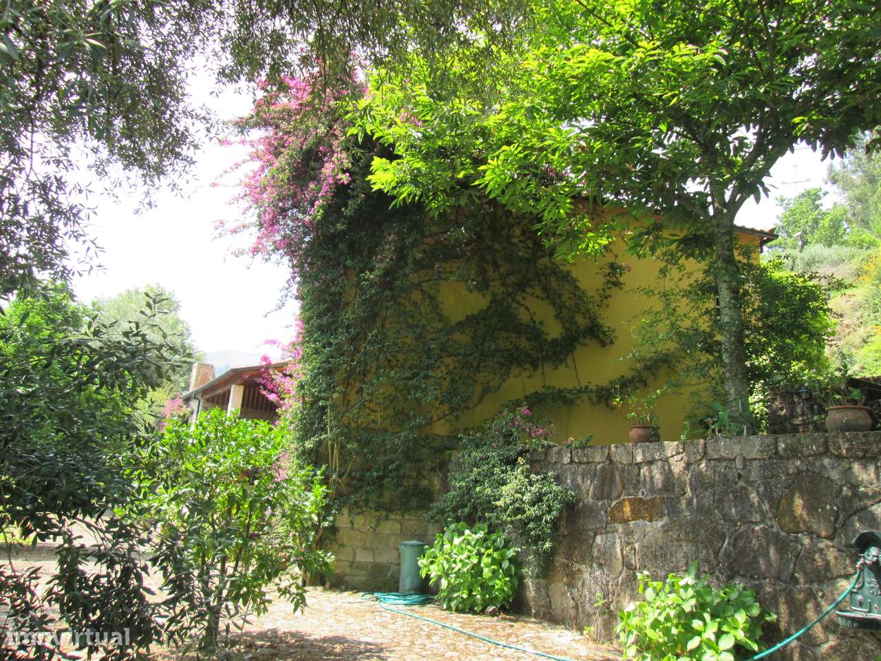 Quintinha no Minho Ponte de Lima * 10.000 m2 * a 90 Km do Porto-54