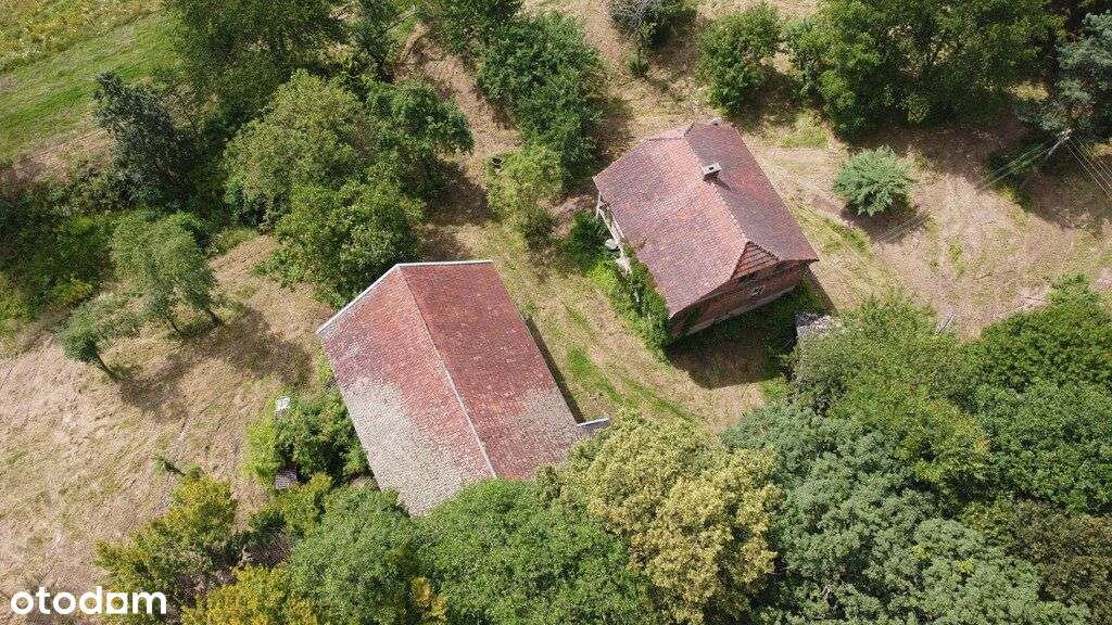 Lutcza Niebylec 10,7 ha Dom 200m2 - Pełny obrazek: 5/20