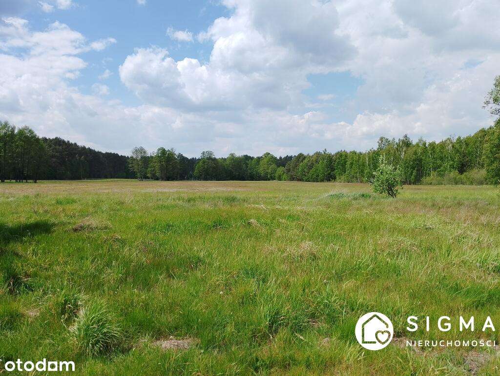 Dom wolnostojący  Franciszków 50 km od Warszawy - Pełny obrazek: 5/7