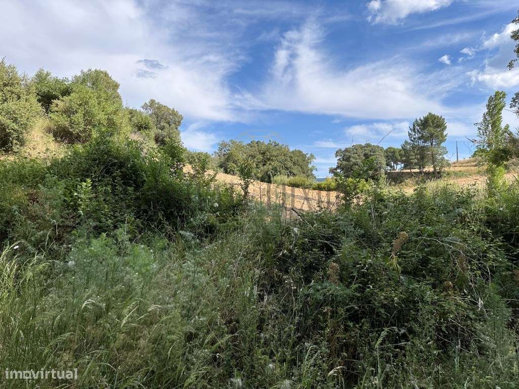 Terreno rustico com 11000m2 Não é permitida construção - Grande imagem: 5/23