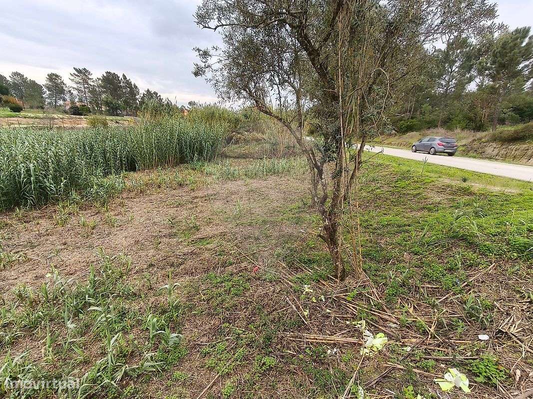 Terreno  para venda - Grande imagem: 4/9