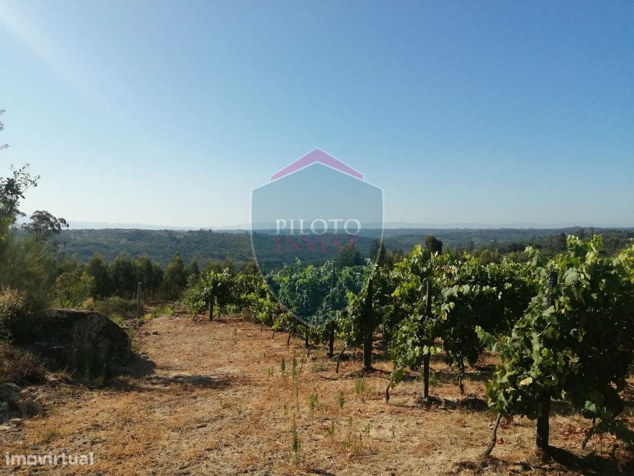 Quinta  Venda em Silgueiros,Viseu - Grande imagem: 4/24