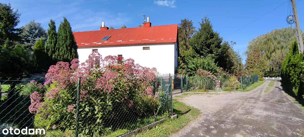 Zabudowana działka przy głównej drodze - Zalesie-2