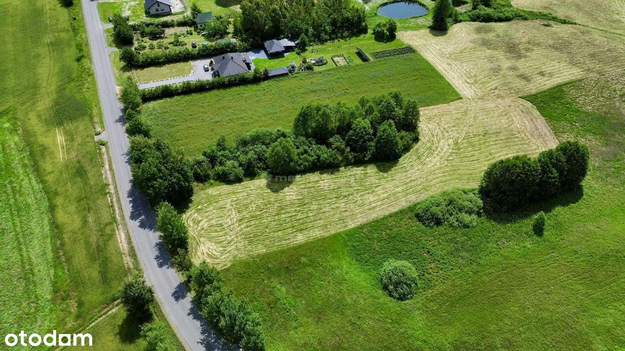 Malownicza duża działa- 55a- Cyców - Pełny obrazek: 2/7