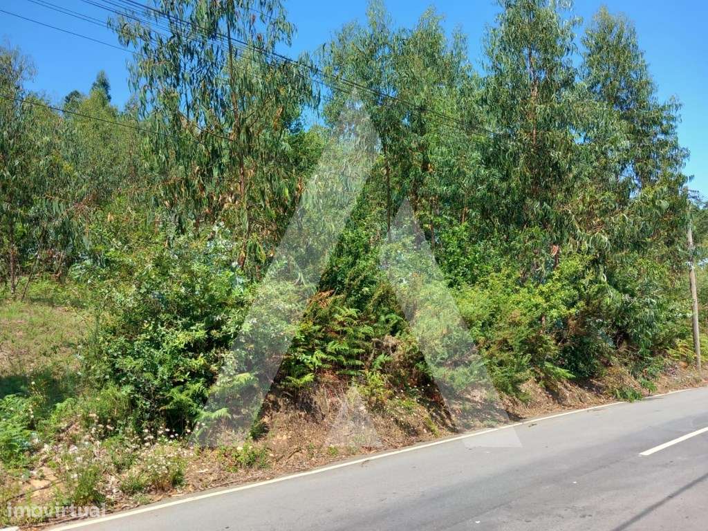 Terreno em Argoncilhe - Santa Maria da Feira - Grande imagem: 4/12