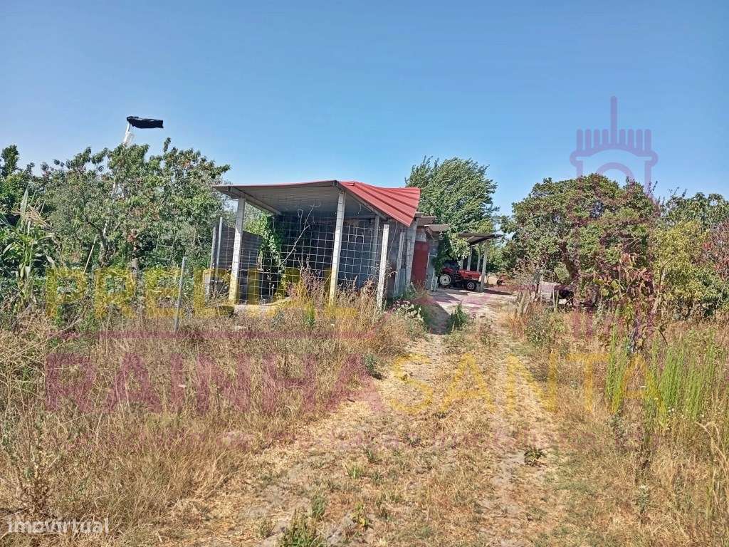 Herdade toda murada com artigo urbano 1460 m2 e rústico com 16.280 m2-7