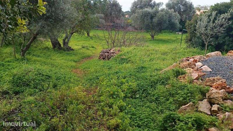 Moradia V3 isolada 2700m2 terreno - Grande imagem: 4/12