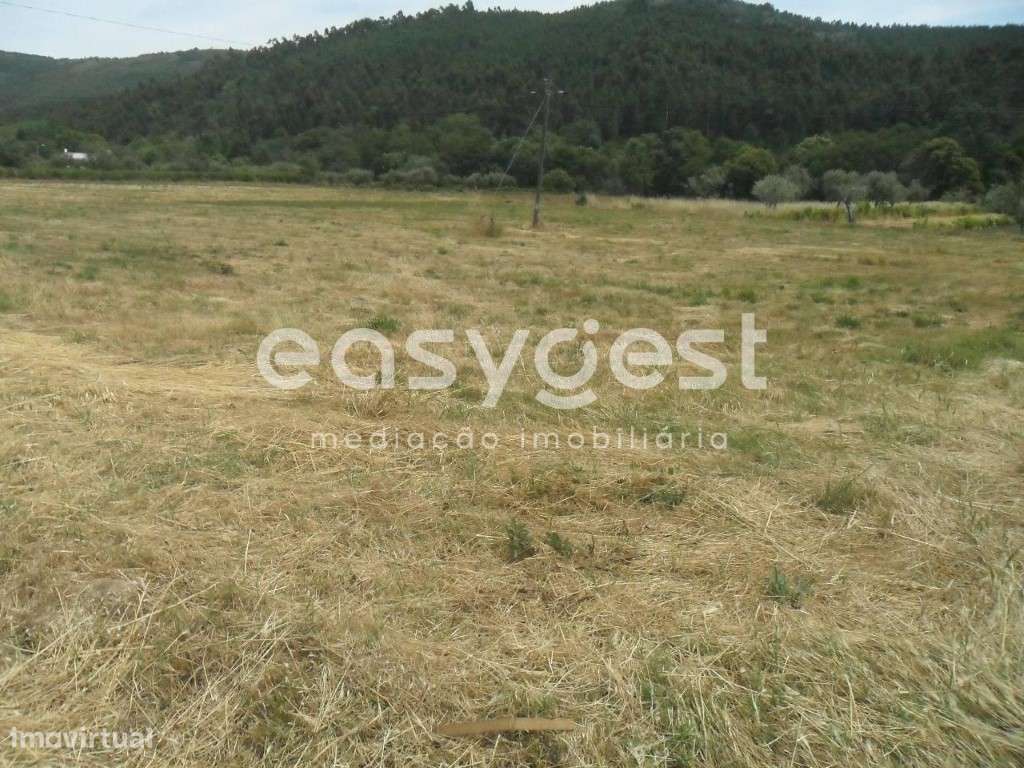 Espetacular Terreno Rústico situado no Paul, concelho da Covilhã - Grande imagem: 2/5