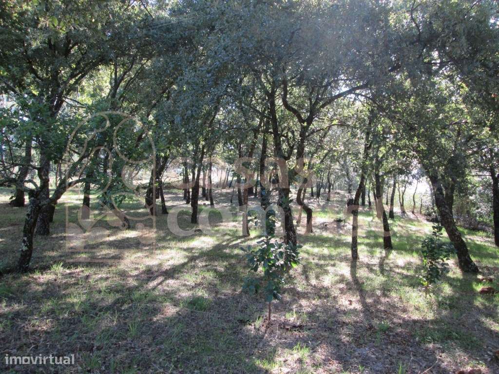 Terreno - Grande imagem: 5/12