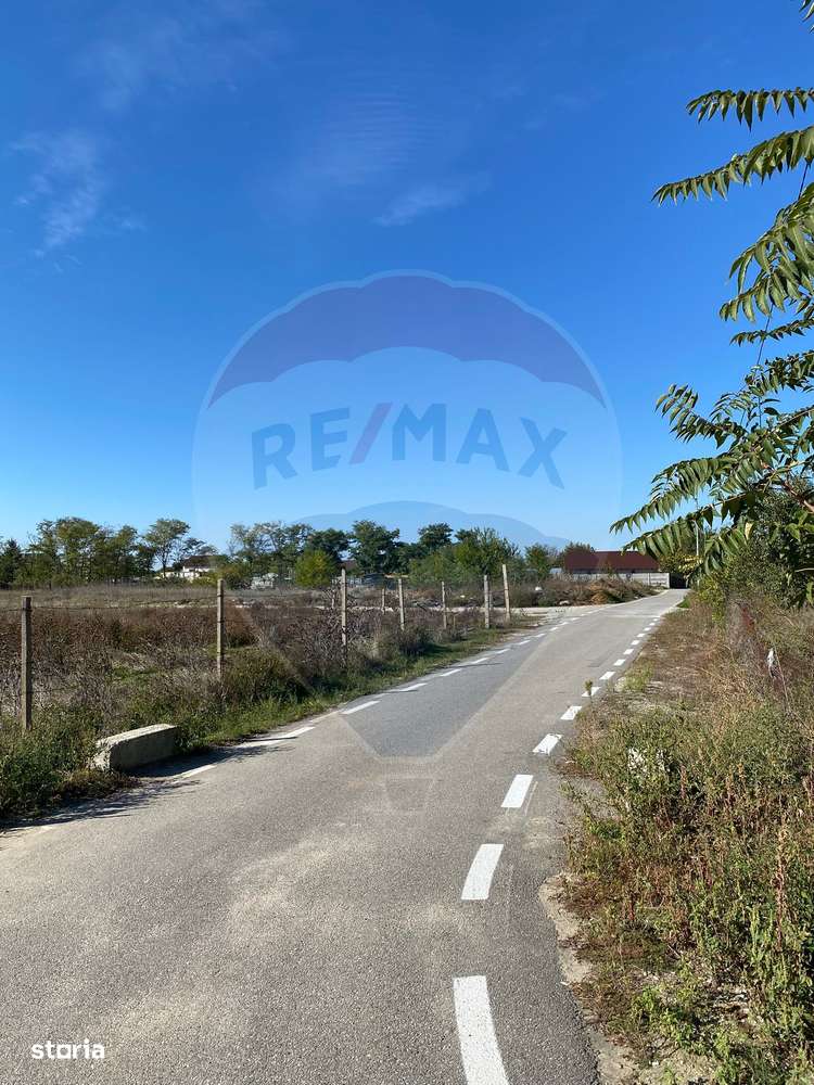 Teren 2,500mp Malu Mare / Strada BECHETULUI-5