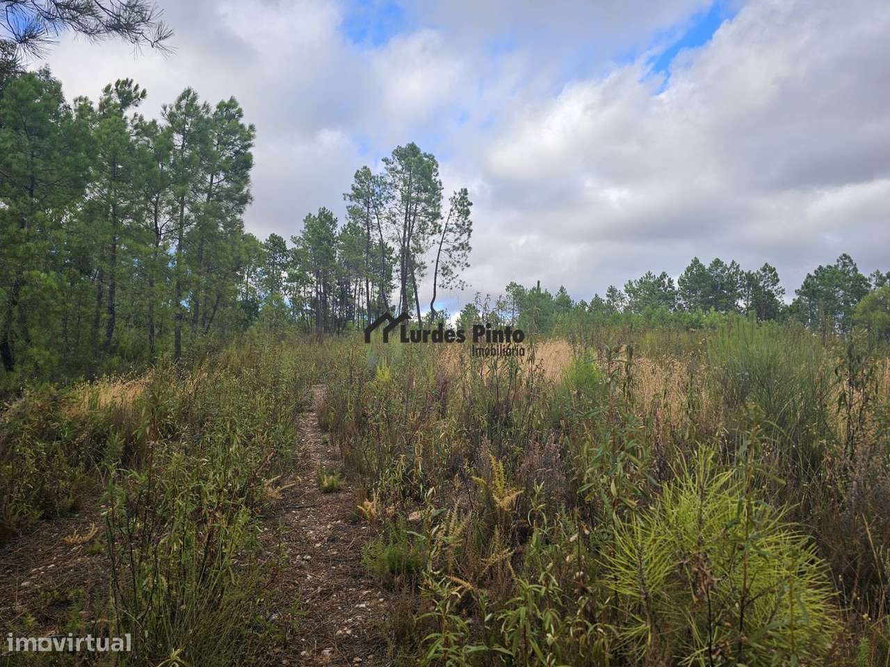 Terreno com 7.500m2-7