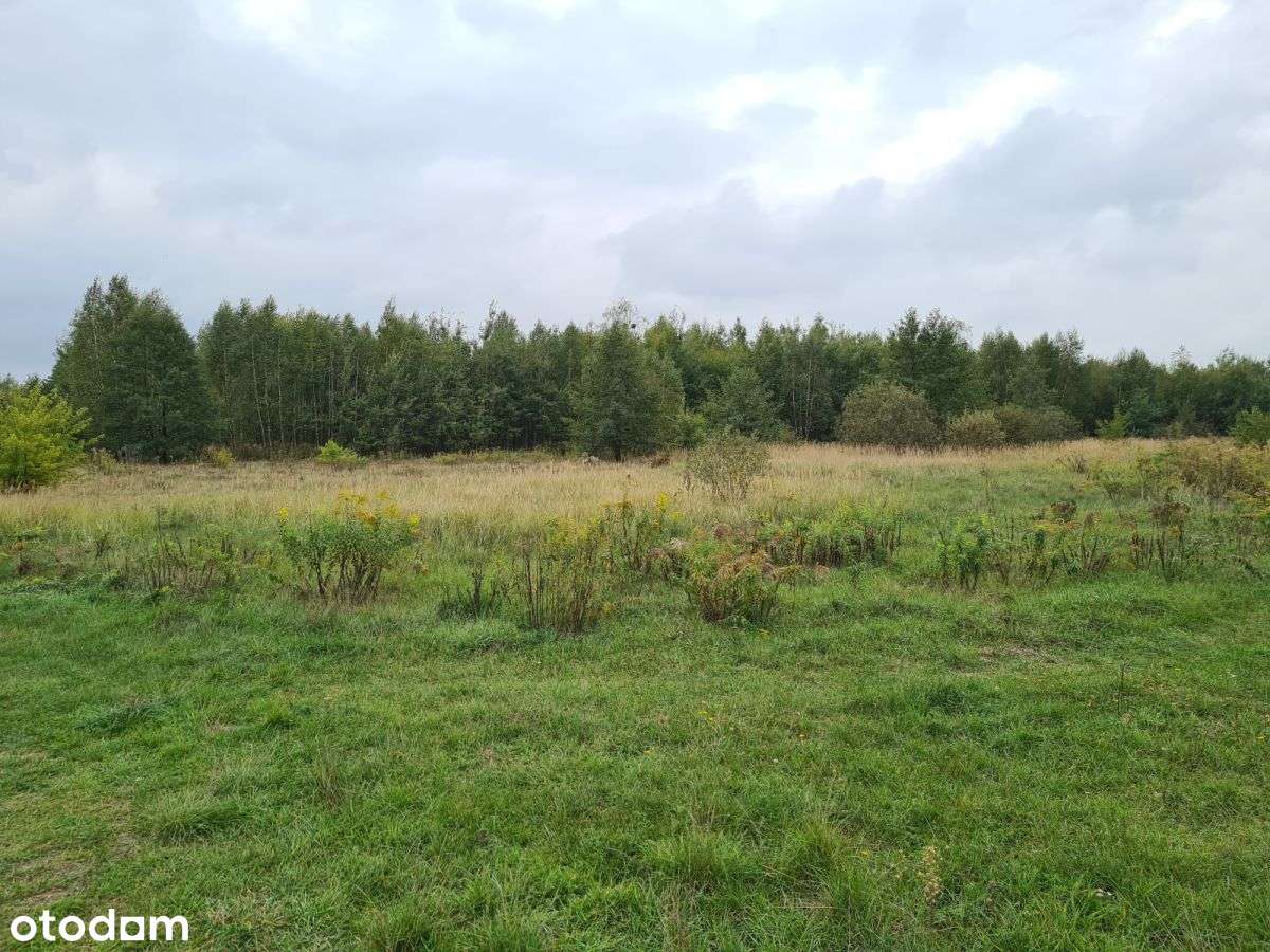 Działka w Wólce Grodziskiej 2, 4 HA - Pełny obrazek: 4/6