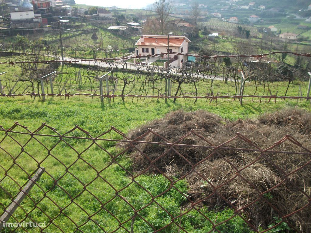 Quinta - Baião