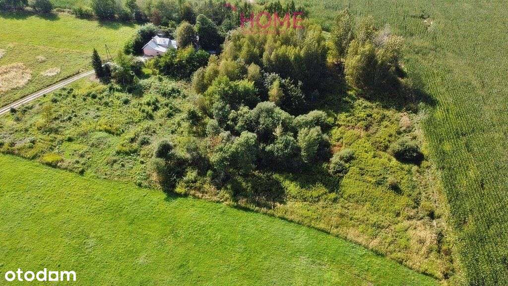 Sprzedam działkę budowlaną z Wz - Olchowa - Pełny obrazek: 3/6