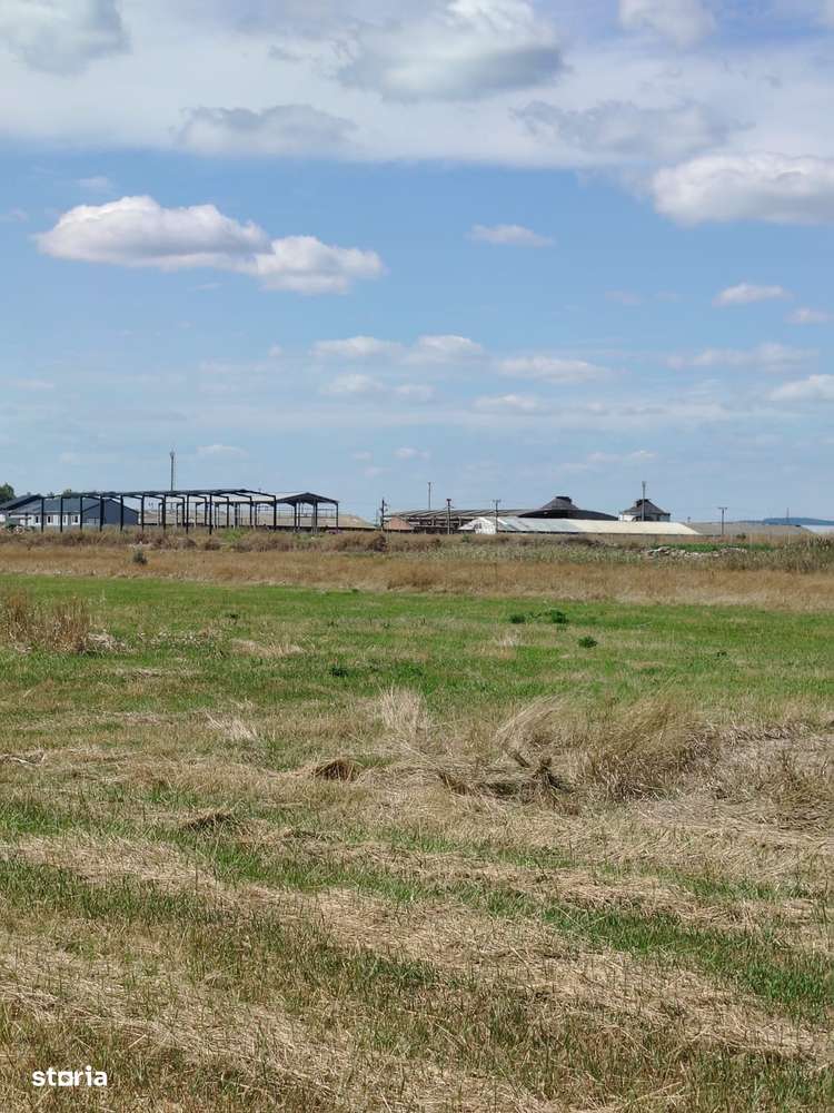 Teren intravilan industrial – Tomești, zona Contom - Imagine principală: 1/5