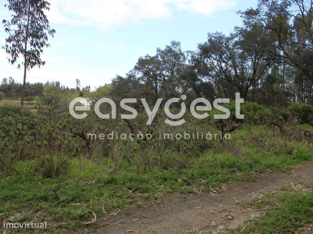 Terreno localizado nas Olalhas na Rota dos Trilhos das Cascatas - Grande imagem: 2/22