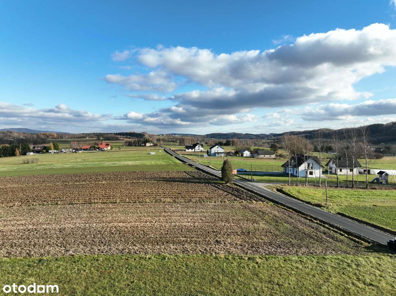 Ponad 1,5 ha działka w Ołpinach gm. Szerzyny-5