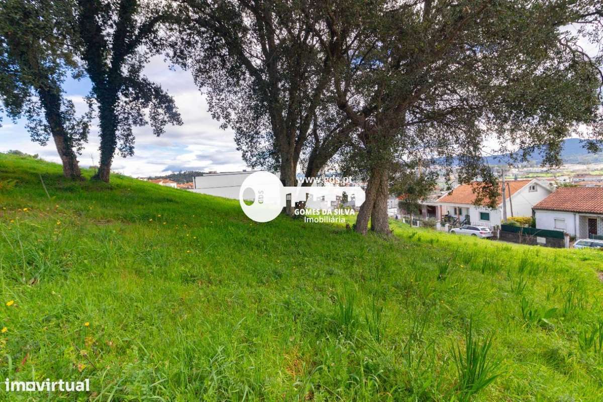 Terreno de 4.000m² em Aveleda – Oportunidade de Construção - Grande imagem: 5/24