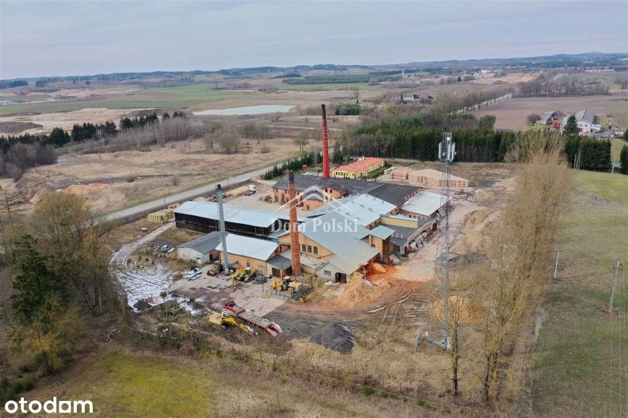 Cegielna i magazyny, działka 2,5 ha - Golubki - Pełny obrazek: 4/20