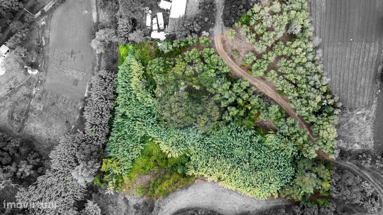 Terreno  para venda - Grande imagem: 5/6