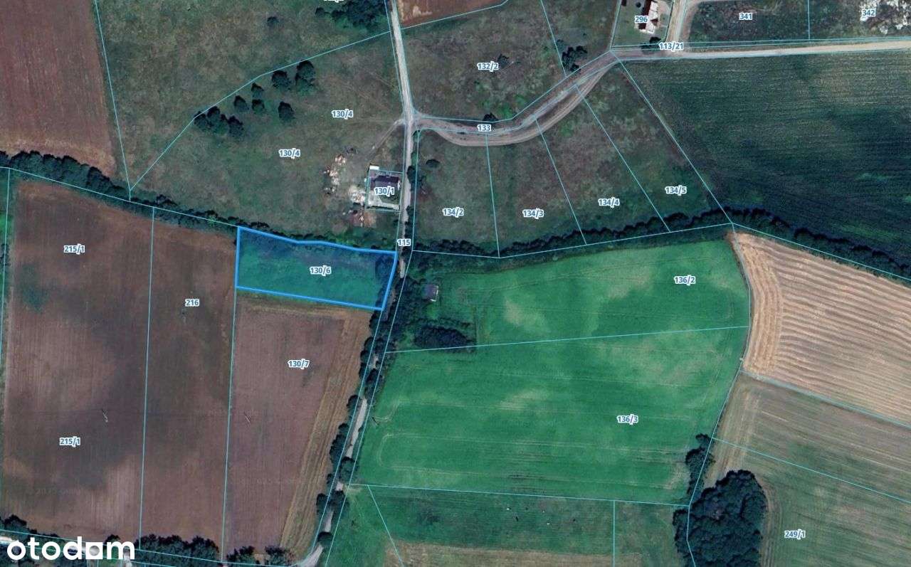 Oaza spokoju - blisko Torunia ! 99.000,00 zł ! - Pełny obrazek: 4/7