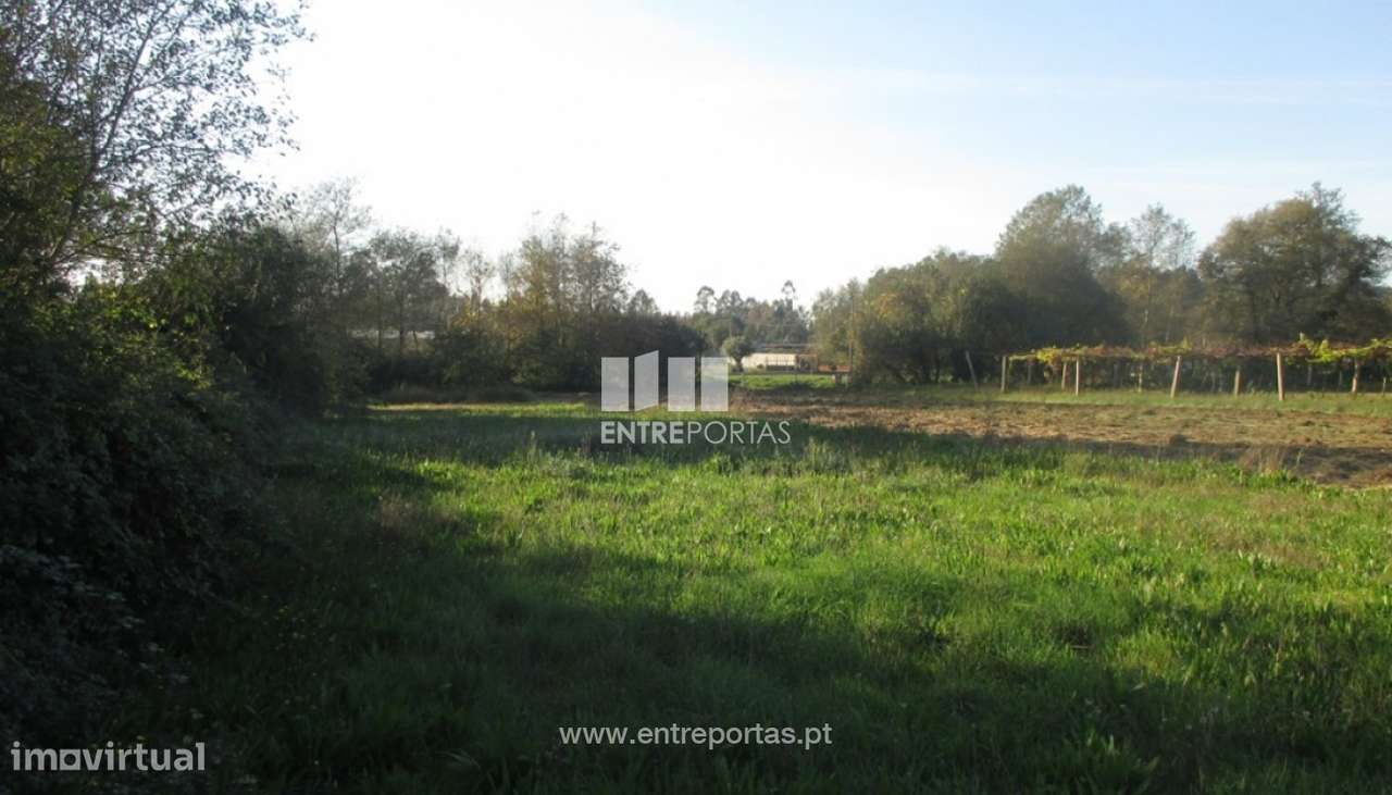 Venda de terreno agrícola, Barroselas, Viana do Castelo - Grande imagem: 3/4
