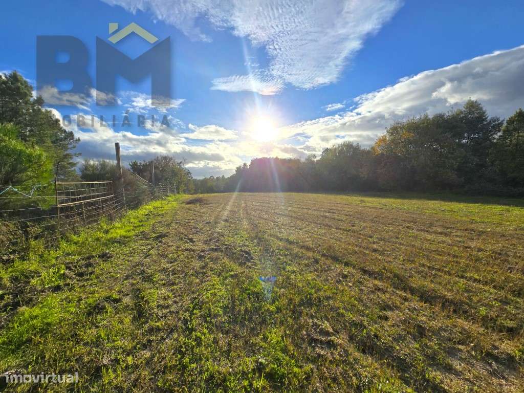 Terreno rústico para venda! Conta com uma área total de 2300 m². - Grande imagem: 4/8