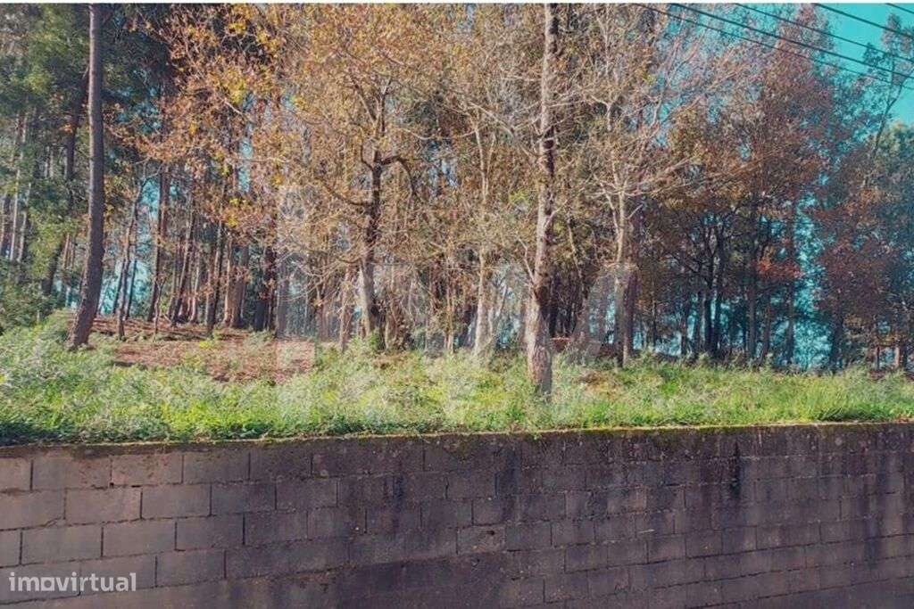 Terreno com PIP aprovado para 6 moradias, Lobão, Santa Maria da Feira - Grande imagem: 4/31