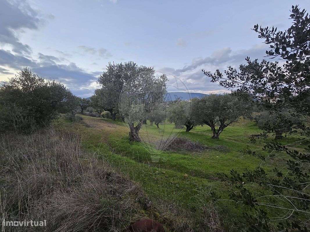 Terreno  para venda - Grande imagem: 4/4