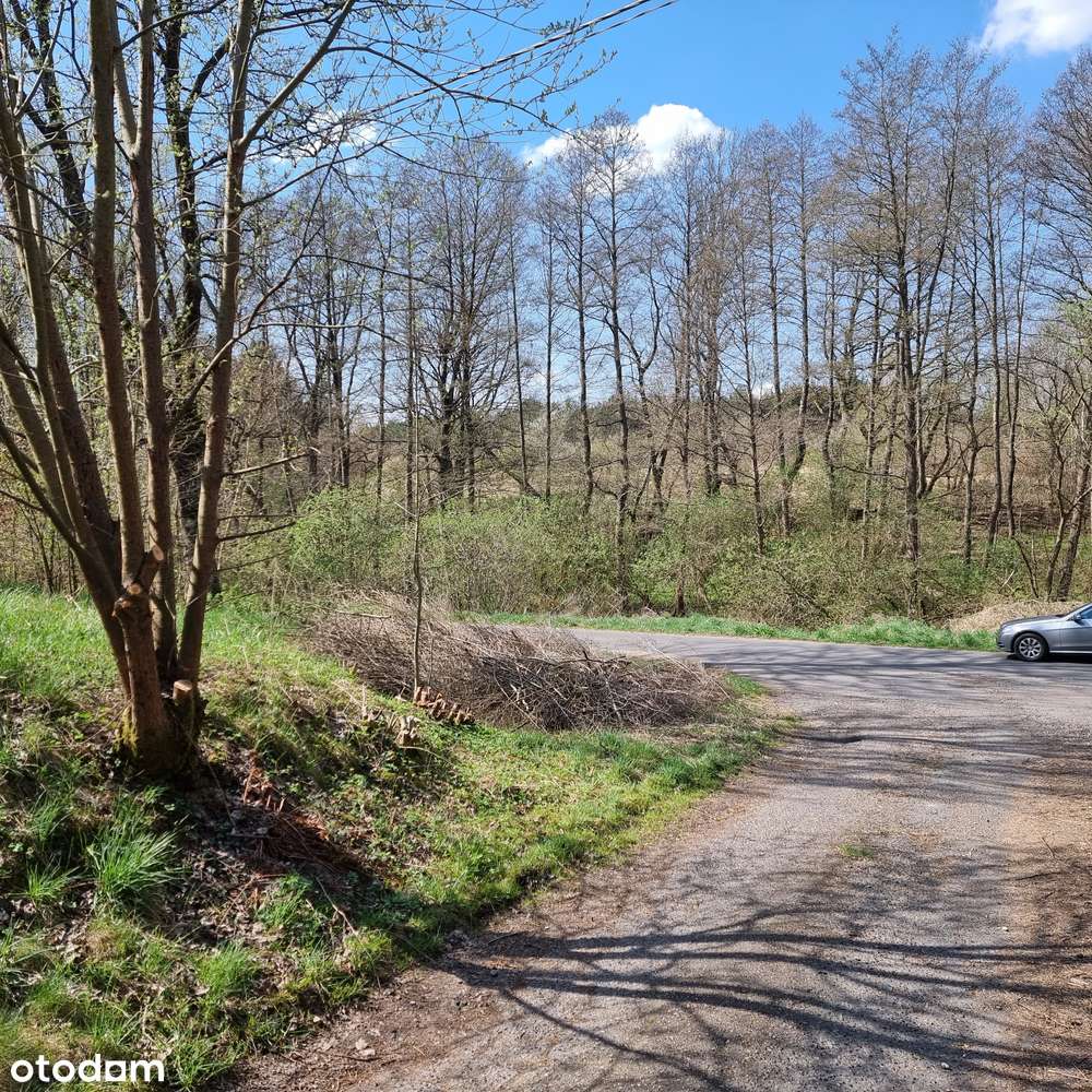 Działka uzbrojona,budowlano-rolna,teren mieszkaniowo-usługowy ,sad . - Pełny obrazek: 5/5