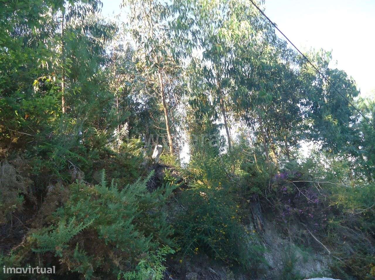 Terreno - Grande imagem: 5/9