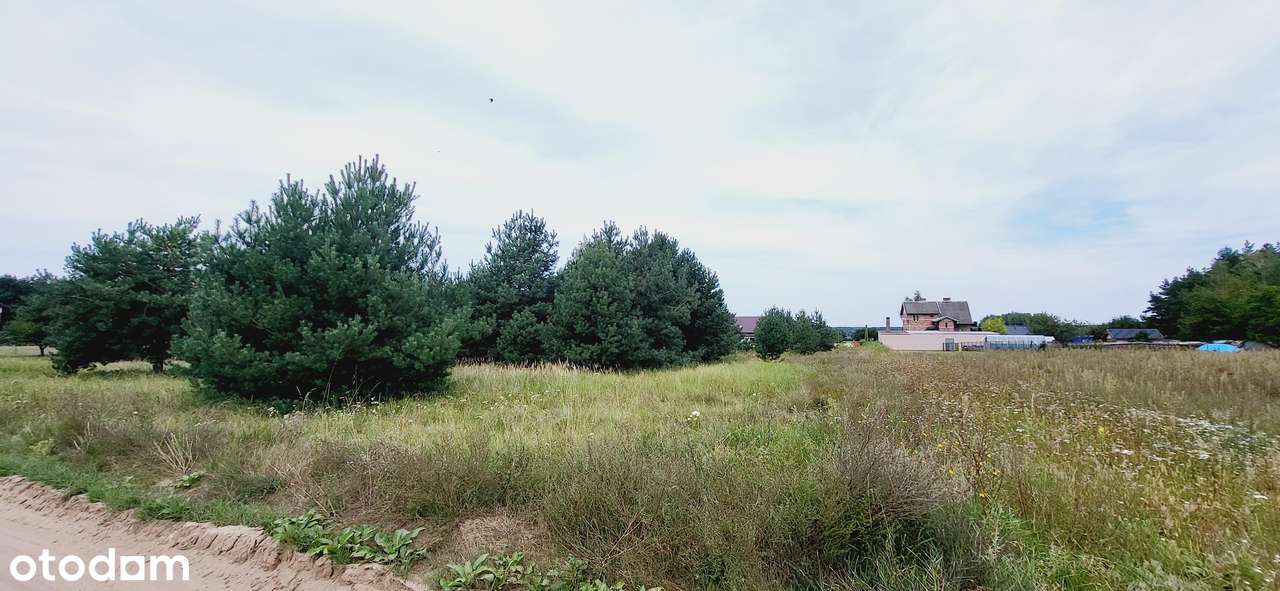 Wałdowo Szlacheckie* działki Budowlane**-3