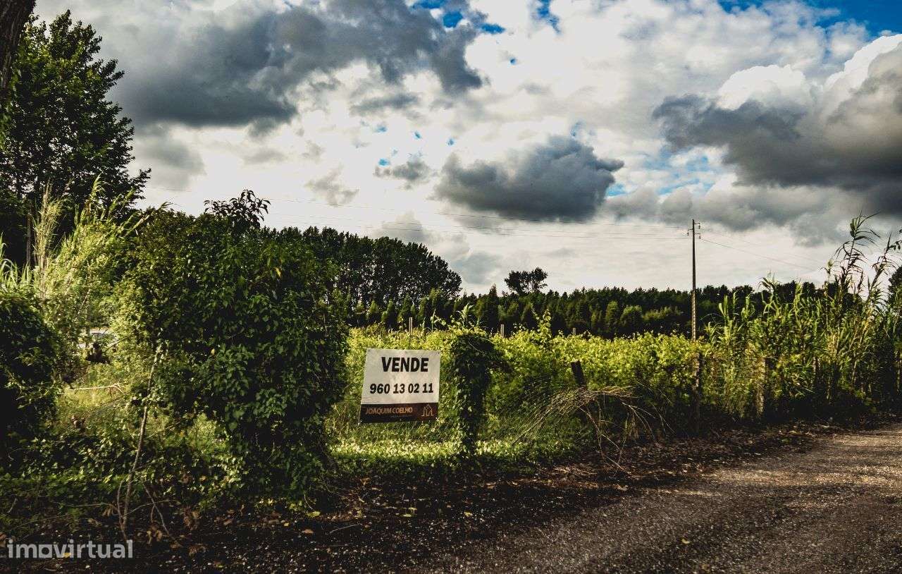 Terreno rústico, Rua do Rio Velho, Mamarrosa, Oliveira do Bairro - Grande imagem: 3/11