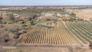 Quinta com piscina em Ferreira do Alentejo - Grande imagem: 4/19