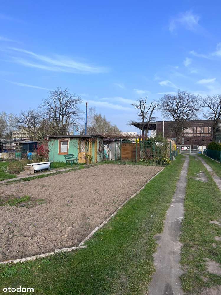 Działka ROD Milicz | Ogródek działkowy | Idealne miejsce do wypoczynku-6