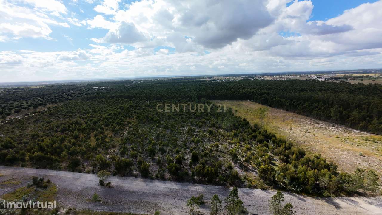 Magnifica Herdade Turística   em Santo Estêvão, Benavente-13