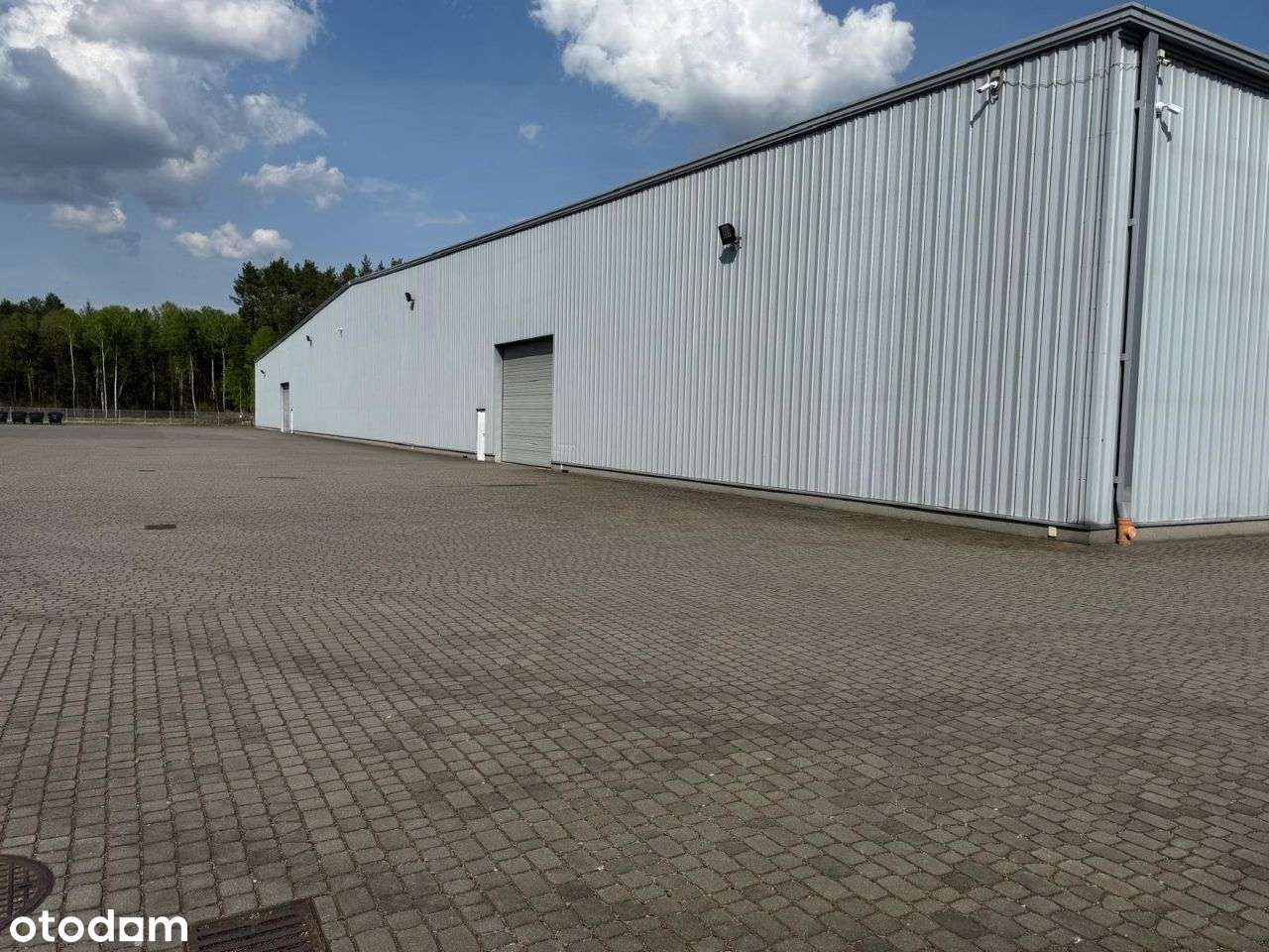Wynajmę samodzielny magazyn- 5000 m2 - Pełny obrazek: 5/7