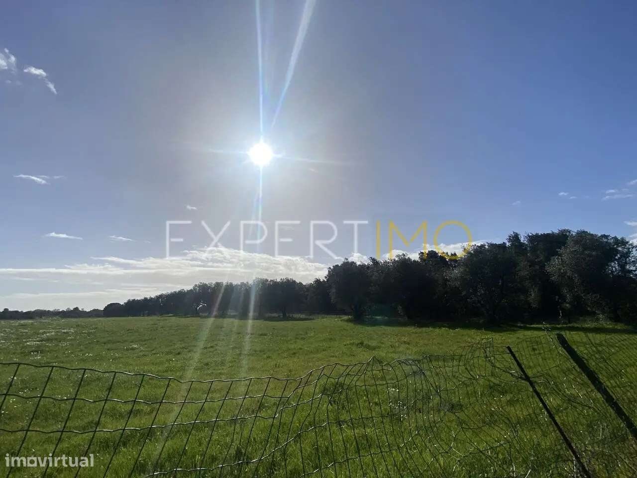Terreno de 43.200 m2 com casa, anexos e apoio agrícola no Vale... - Grande imagem: 2/22