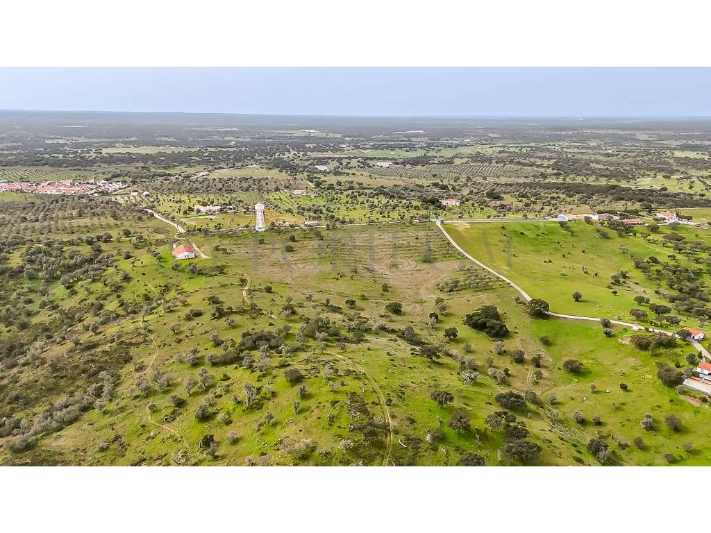 Herdade da Adua | 14 Hectares com Potencial Turístico e Agrícola - ...-6