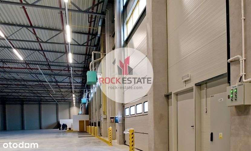 Magazyn na wynajem 1900m2 od zaraz Morawica - Pełny obrazek: 5/13