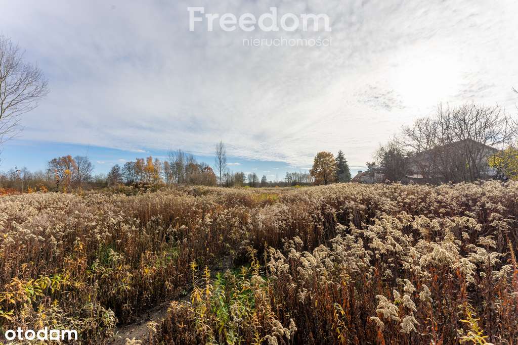 Działka 151 przy rzece Jeziorki — Wólka Kozodawska - Pełny obrazek: 4/18