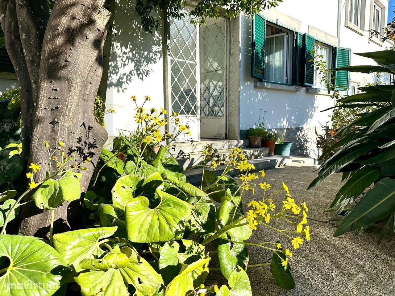 Moradia T4 - Belém - Restelo - Grande imagem: 4/30