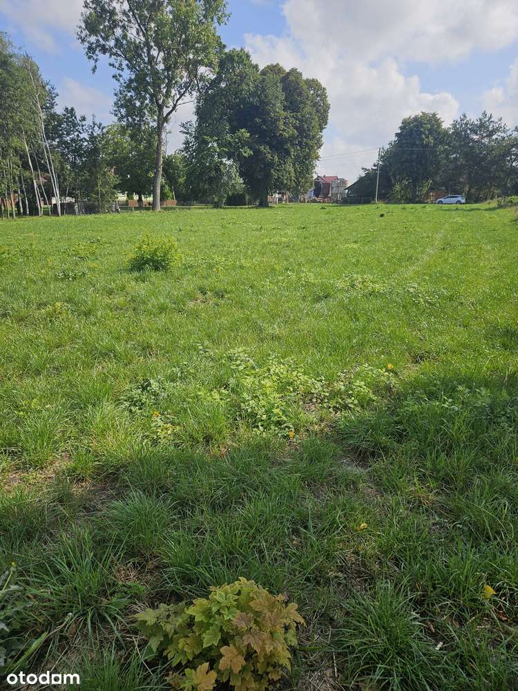 Działka rolno-budowlana - Pełny obrazek: 5/5